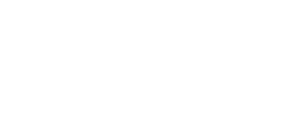 ARDOR GROUP